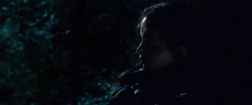 the_hunger_games_frame_1738666673.9692612.webp