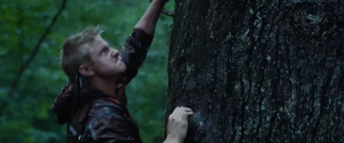the_hunger_games_frame_1738666675.2353618.webp