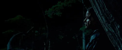 the_hunger_games_frame_1738666675.8598945.webp