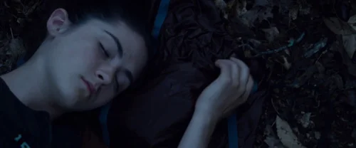 the_hunger_games_frame_1738666677.003403.webp