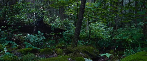 the_hunger_games_frame_1738666678.2109156.webp