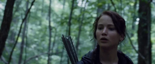 the_hunger_games_frame_1738666680.2830062.webp