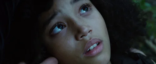 the_hunger_games_frame_1738666681.0748882.webp