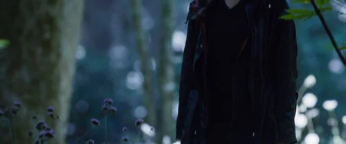 the_hunger_games_frame_1738666681.5367794.webp