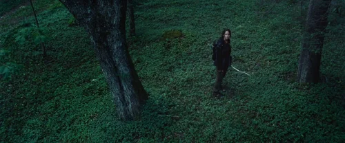 the_hunger_games_frame_1738666681.9244635.webp