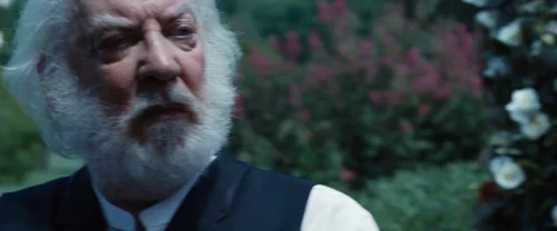 the_hunger_games_frame_1738666682.6561832.webp