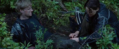 the_hunger_games_frame_1738666683.3990045.webp