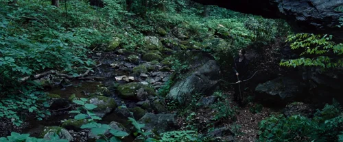 the_hunger_games_frame_1738666683.901596.webp