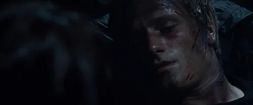 the_hunger_games_frame_1738666684.1167364.webp