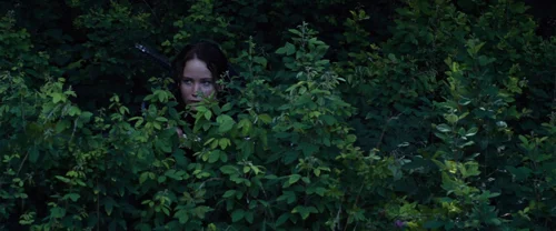 the_hunger_games_frame_1738666685.036681.webp