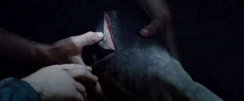 the_hunger_games_frame_1738666686.2320335.webp