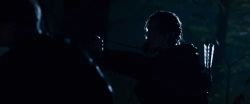 the_hunger_games_frame_1738666687.6624863.webp