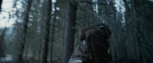 the_revenant_frame_1738666317.4433336.webp