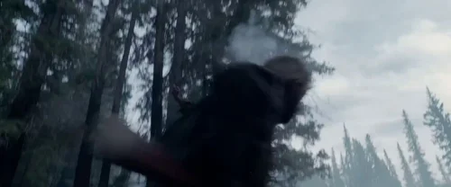 the_revenant_frame_1738666318.1671715.webp