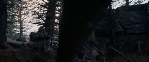 the_revenant_frame_1738666320.0169125.webp