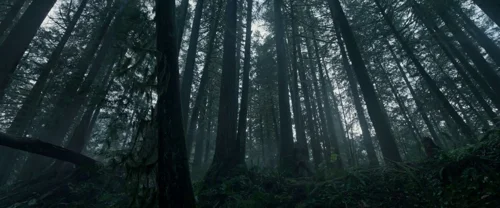 the_revenant_frame_1738666322.3886583.webp