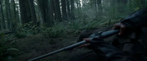 the_revenant_frame_1738666323.3399463.webp