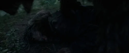the_revenant_frame_1738666323.5559967.webp