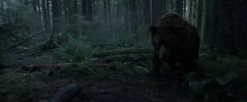 the_revenant_frame_1738666323.8063767.webp