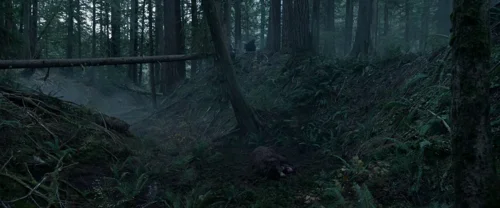 the_revenant_frame_1738666324.0660481.webp