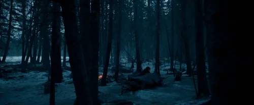 the_revenant_frame_1738666327.3082335.webp