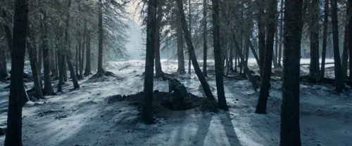 the_revenant_frame_1738666328.1343393.webp