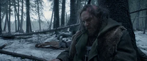 the_revenant_frame_1738666328.43127.webp