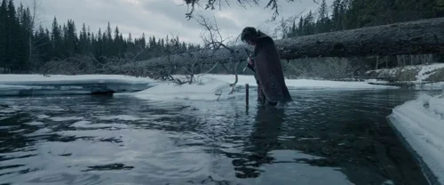the_revenant_frame_1738666328.700616.webp