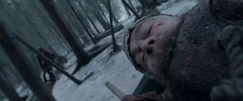 the_revenant_frame_1738666330.9388754.webp