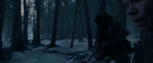 the_revenant_frame_1738666331.5372663.webp