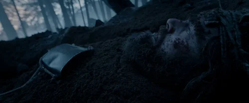 the_revenant_frame_1738666332.061259.webp