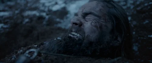 the_revenant_frame_1738666332.5270104.webp