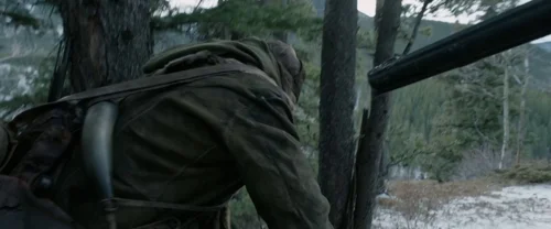 the_revenant_frame_1738666333.8961368.webp