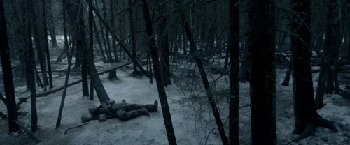 the_revenant_frame_1738666334.3626058.webp