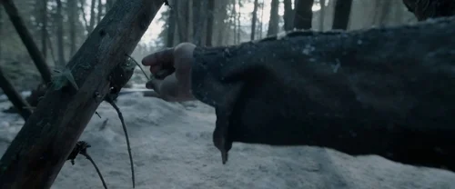 the_revenant_frame_1738666334.595335.webp