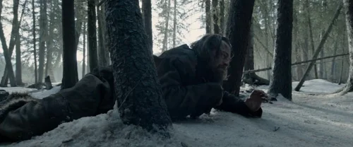 the_revenant_frame_1738666334.9119842.webp