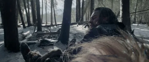 the_revenant_frame_1738666335.1792483.webp