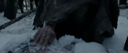 the_revenant_frame_1738666335.668487.webp