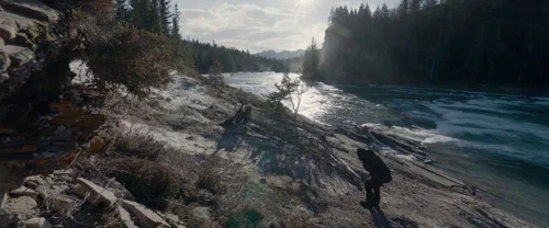 the_revenant_frame_1738666336.8931417.webp