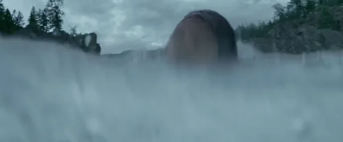 the_revenant_frame_1738666337.7859538.webp