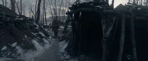 the_revenant_frame_1738666339.0036104.webp
