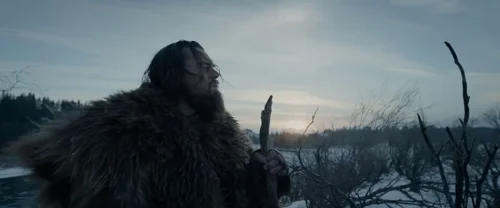 the_revenant_frame_1738666340.8039129.webp