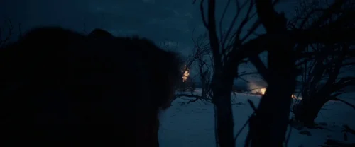 the_revenant_frame_1738666341.2481306.webp