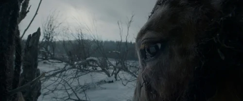 the_revenant_frame_1738666342.019926.webp