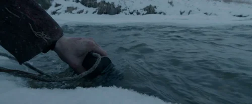 the_revenant_frame_1738666342.7610228.webp