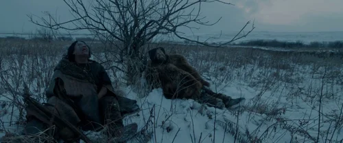 the_revenant_frame_1738666344.4524455.webp