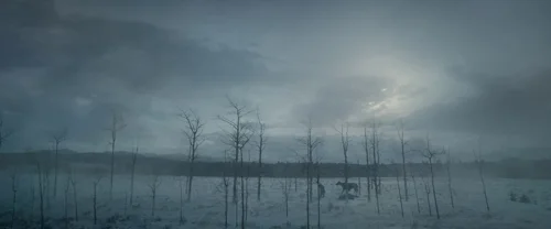 the_revenant_frame_1738666344.760009.webp