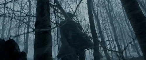 the_revenant_frame_1738666345.188094.webp