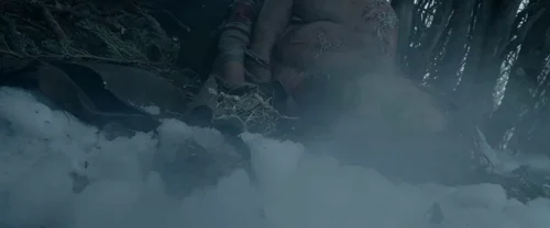 the_revenant_frame_1738666345.5488853.webp