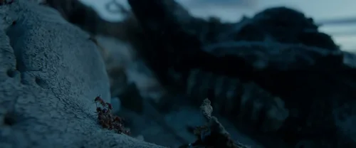 the_revenant_frame_1738666345.8075047.webp